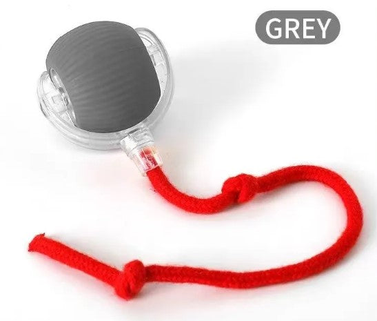 SpeedyTail Smart Ball