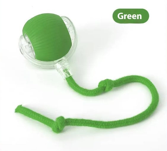 SpeedyTail Smart Ball