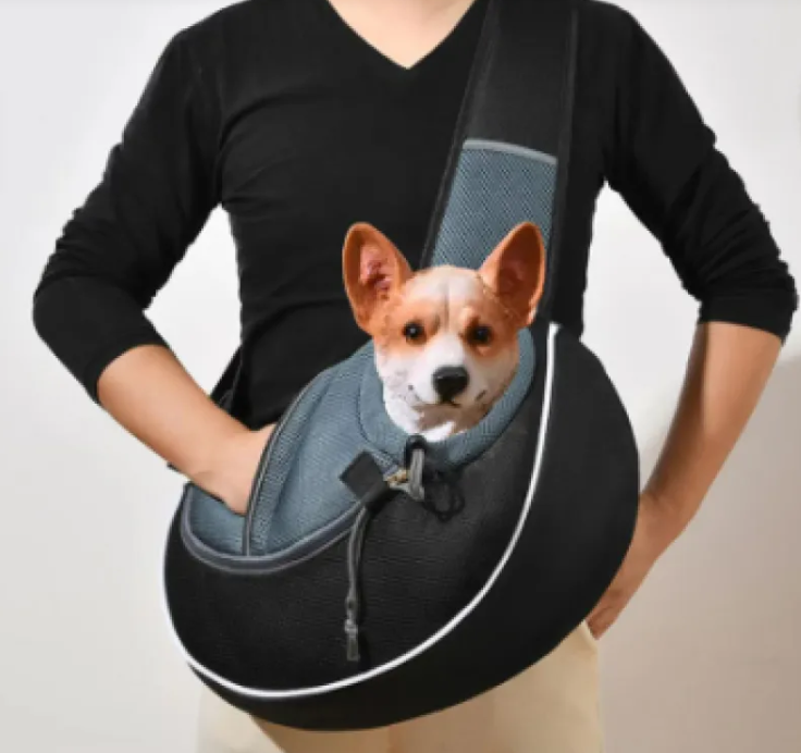 AdventurePaws Travel Carrier