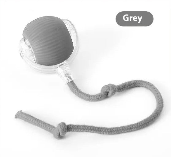 SpeedyTail Smart Ball