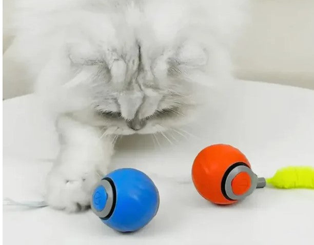 SpeedyTail Smart Ball