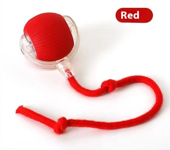 SpeedyTail Smart Ball